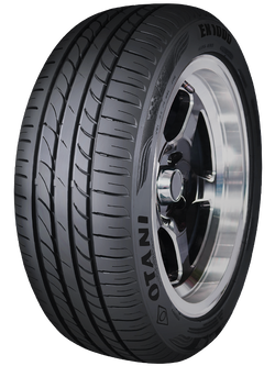 225/60R17 OTANI EK1000