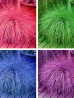 หญ้าฟาง (Fescue Grass) คละ 4 สี / 100 เม็ด