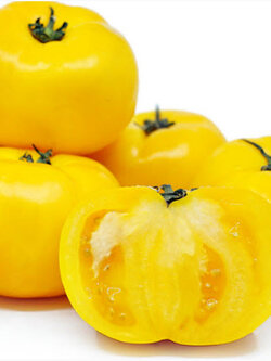 มะเขือเทศ เยลโล่สโตน (Tomato - Yellowstone) / 100 เม็ด (UK) *