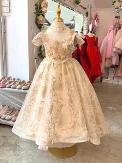 ชุดราตรีเด็ก(ร้านอยู่รัชดา ลองได้ถ่ายรูปจากชุดจริง)W18849สีทอง แขนระบาย กระโปรงยาว สวยหรู