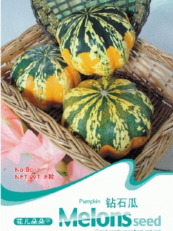 ฟักทอง (Pumpkin) / ซอง 8 เม็ด (B017)