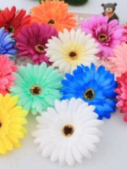 เยอบีร่า (Gerbera) คละ / 100 เม็ด (นอก)