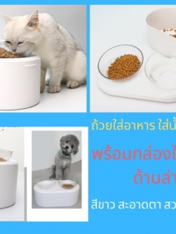 ที่ให้อาหารแมวพร้อมที่เก็บ