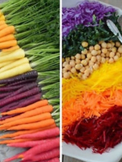 แครอท แฟนซี (rainbow carrot) / 400 เม็ด