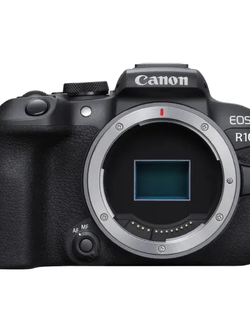EOS R10 (RF-S18-150mm f/3.5-6.3 IS STM)
