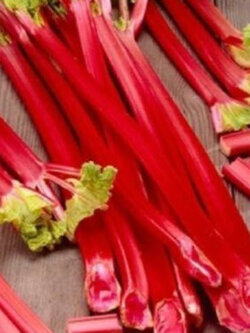 รูห์บาบแดง (Red Rhubarb) / 10 เม็ด (France) *