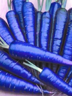 Blue Yellow Carrot แพ็ค 25 เม็ด