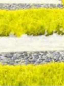 หญ้าฟาง (Fescue grass) สีเหลือง / 500 เม็ด