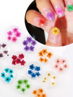 ตลับดอกไม้แห้งจริงแต่งเล็บ 3 มิติ / ตลับ 12 สี (นอก)
