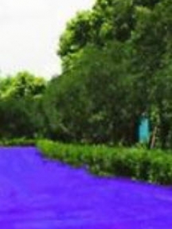 หญ้าฟาง (Fescue grass) สีม่วง / 500 เม็ด