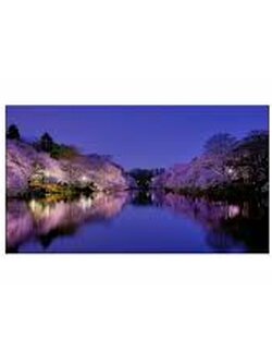 Hisense Video Wall 55L18H5K