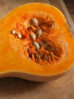ฟักบัทเตอร์นัท (Waltham Butternut Pumpkin) / 10 เม็ด (Australia)