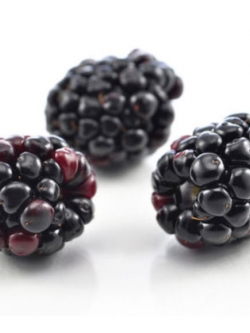 แบล๊คเบอรี่ (Blackberry) / 100 เม็ด (S010)