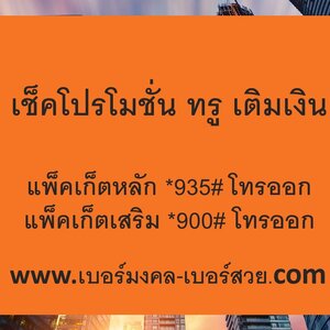 เช็คโปรโมชั่น ทรู เติมเงิน ตรวจสอบ ซิม ทรู เบอร์เติมเงิน True แพ็คเก็ตหลัก แพ็คเก็ตเสริม