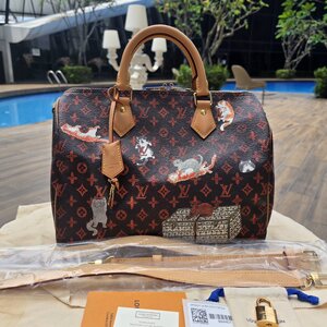 louis vuitton catogram speedy 30 มือสอง