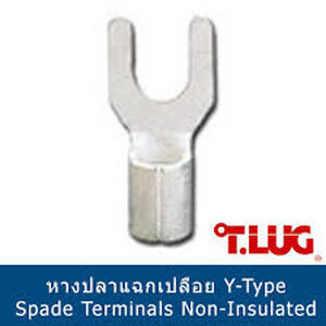 Y หางปลาแฉกเปลือย