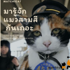 มารู้จักแมว 3 สี(แมวคาลิโก) กันเถอะ