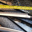 Yew Yanagiba 240 mm 58 hrc