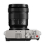 Panasonic LUMIX S9 Special Color Mirrorless Digital Camera