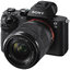กล้อง DSLR Sony Alpha a7 MII Mirrorless Digital Camera with FE 28-70mm f/3.5-5.6 OSS Lens